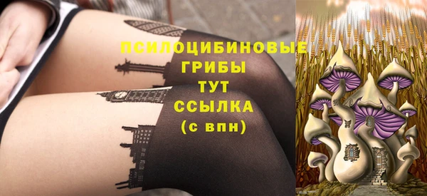 МДМА Алексеевка
