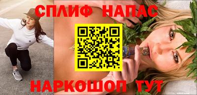 гидропоника Новозыбков