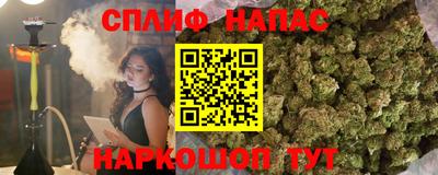 гидропоника Новозыбков