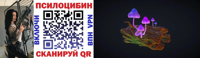 Псилоцибиновые грибы Psilocybe  Учалы 
