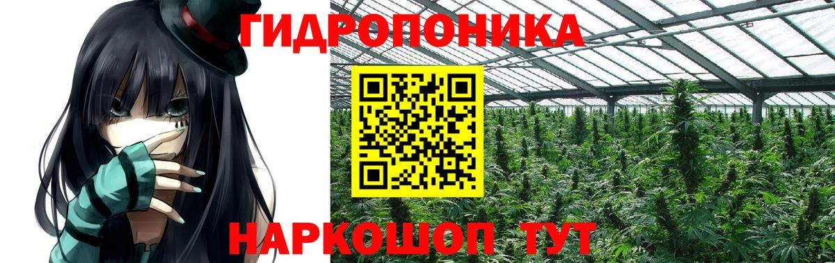 Каннабис Bruce Banner  Марихуана Bruce Banner  Учалы  Вход с VPN  Каннабис марихуана 
